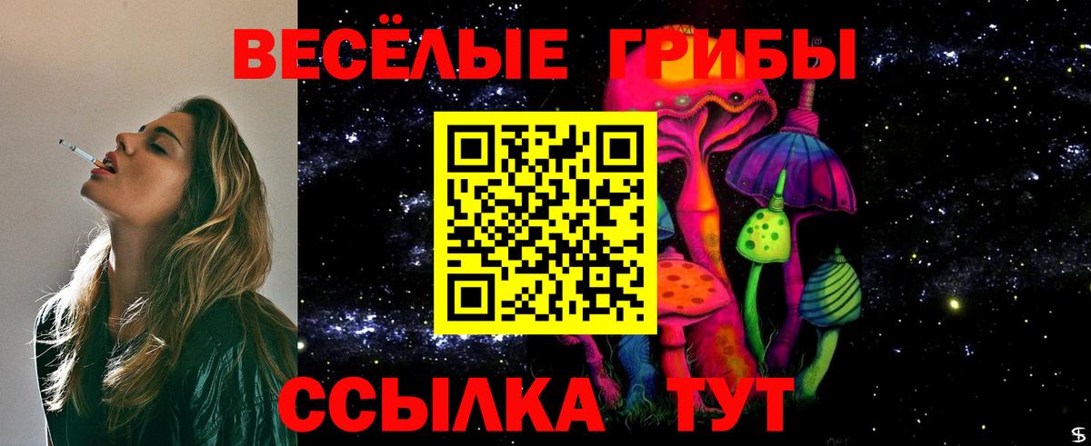 Псилоцибиновые грибы мицелий Рыбинск